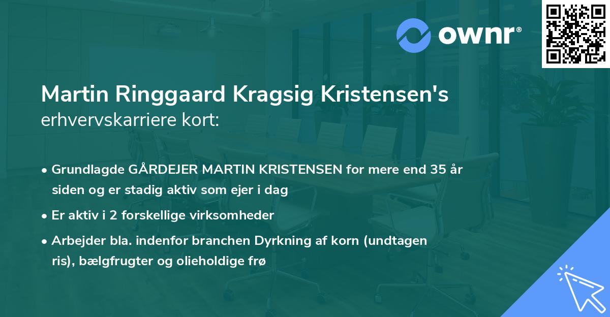 Martin Ringgaard Kragsig Kristensen's erhvervskarriere kort