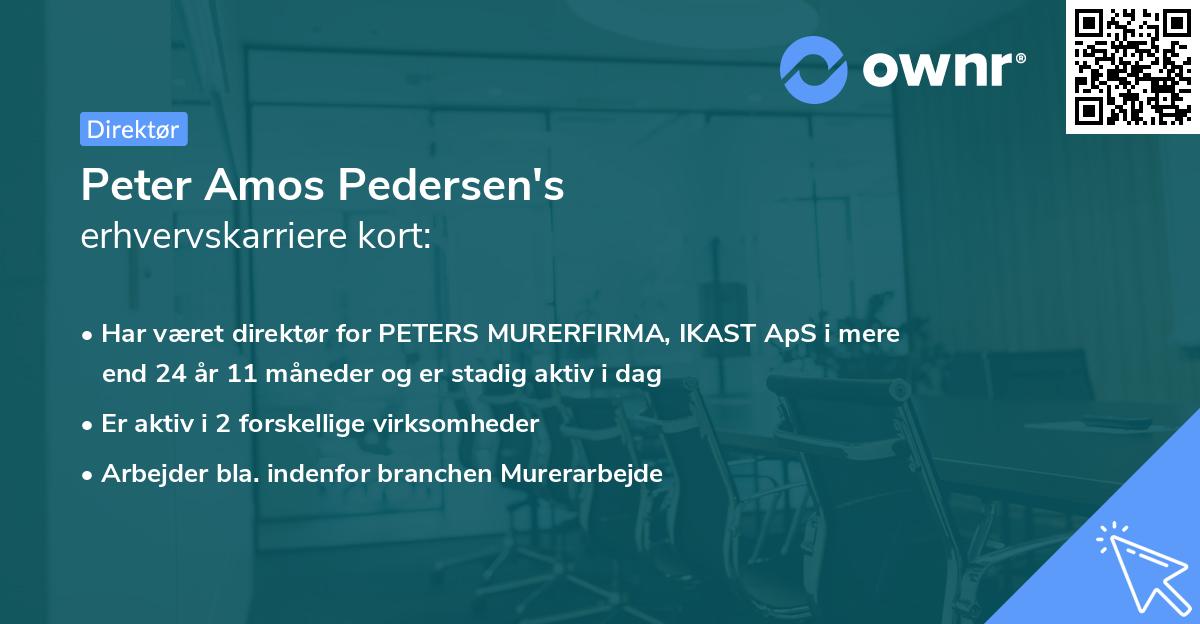 Peter Amos Pedersen's erhvervskarriere kort