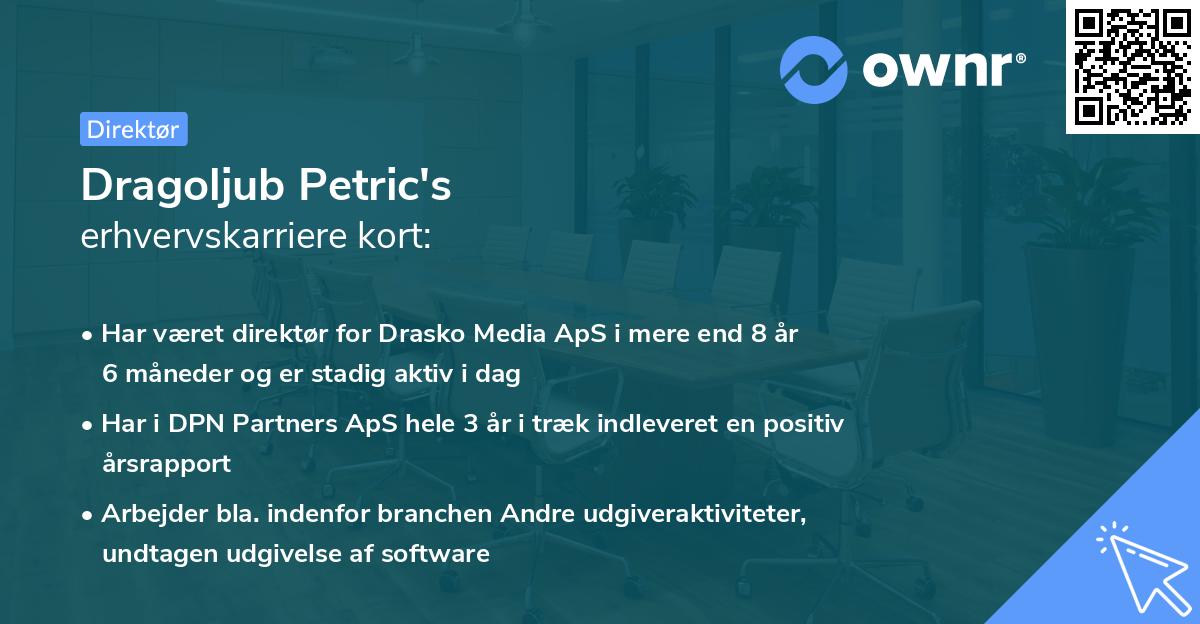 Dragoljub Petric's erhvervskarriere kort