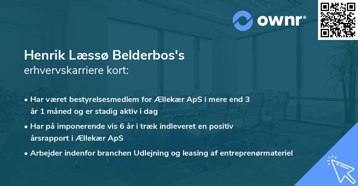 Henrik Læssø Belderbos's erhvervskarriere kort