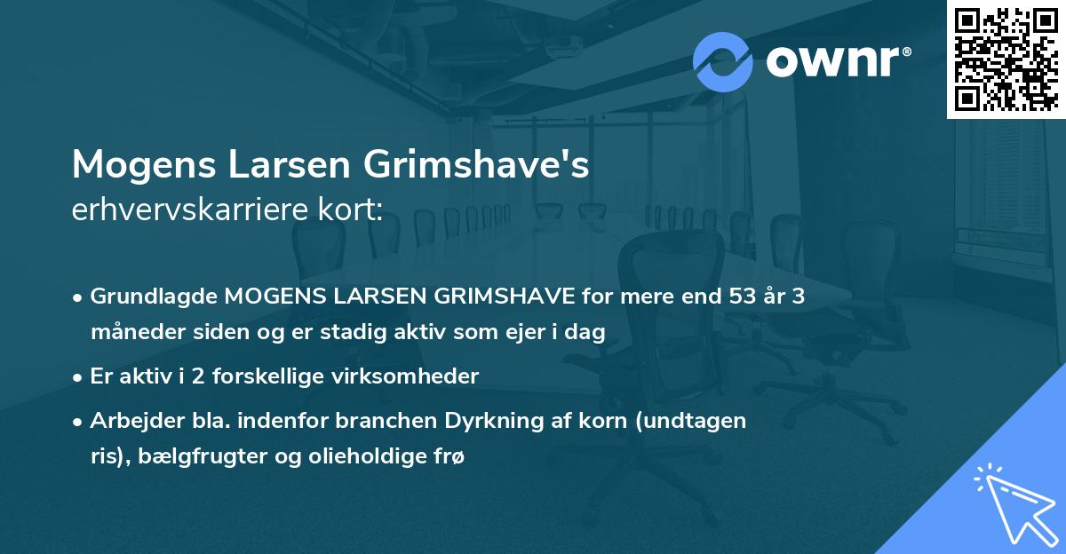 Mogens Larsen Grimshave's erhvervskarriere kort