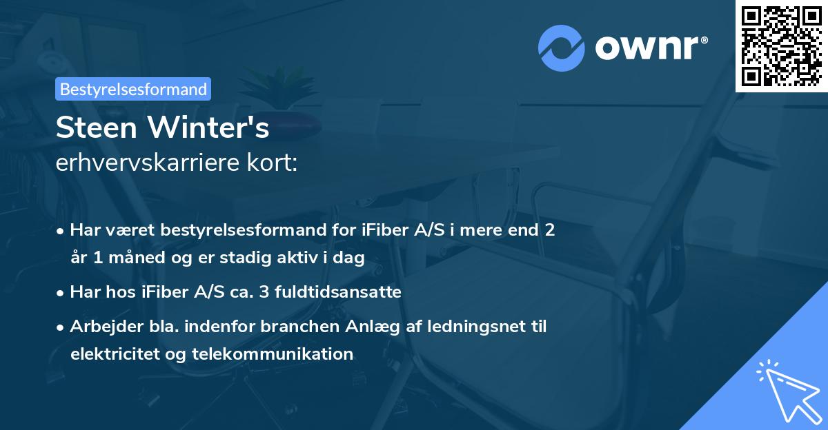 Steen Winter's erhvervskarriere kort