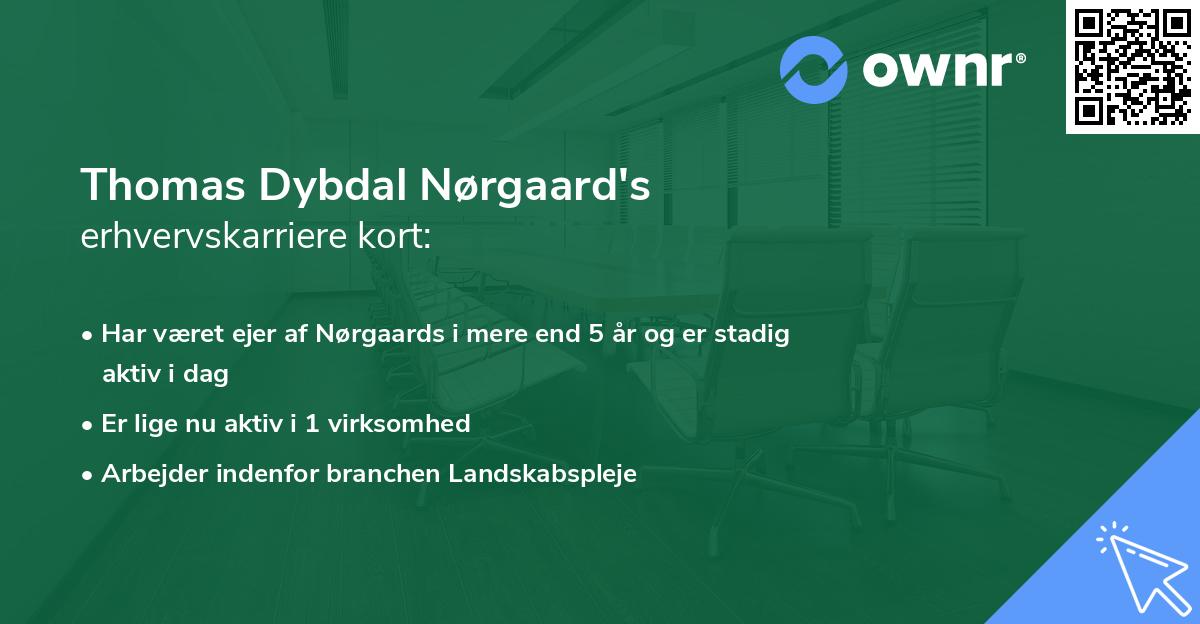 Thomas Dybdal Nørgaard's erhvervskarriere kort