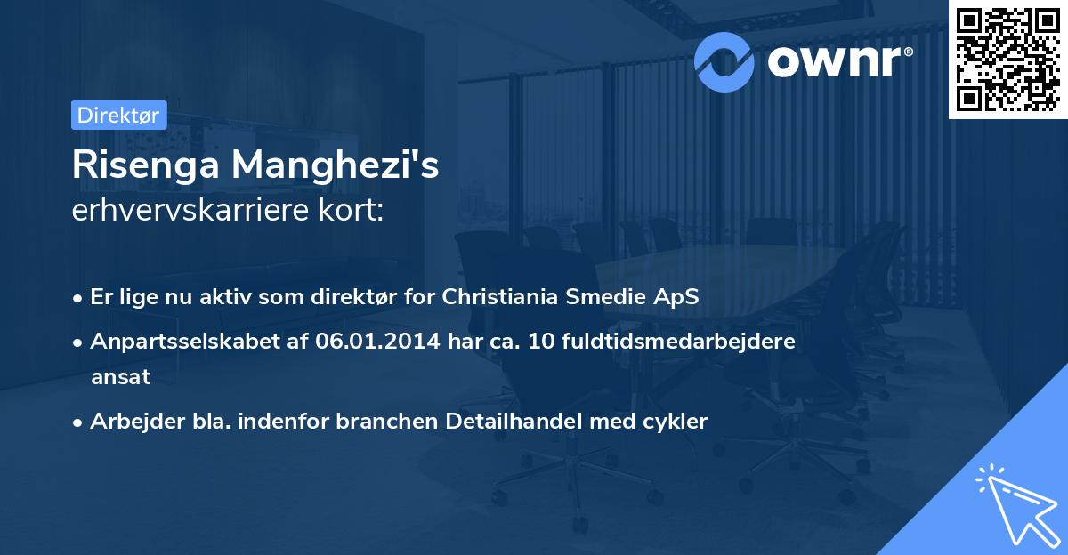 Risenga Manghezi's erhvervskarriere kort
