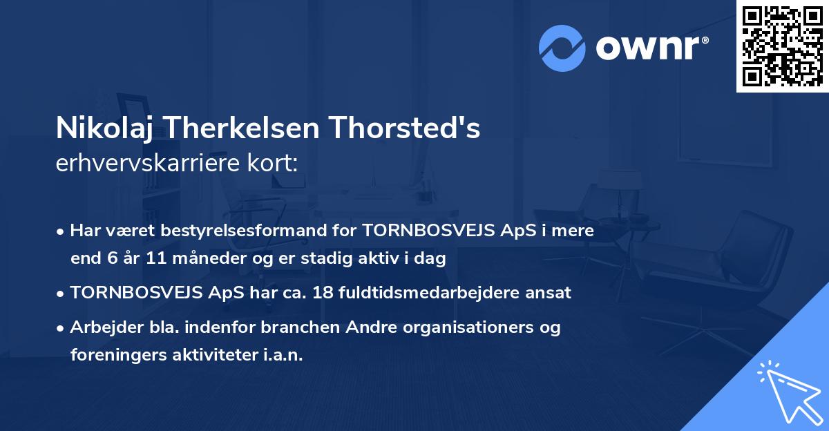 Nikolaj Therkelsen Thorsted's erhvervskarriere kort