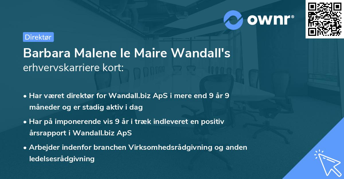 Barbara Malene le Maire Wandall's erhvervskarriere kort