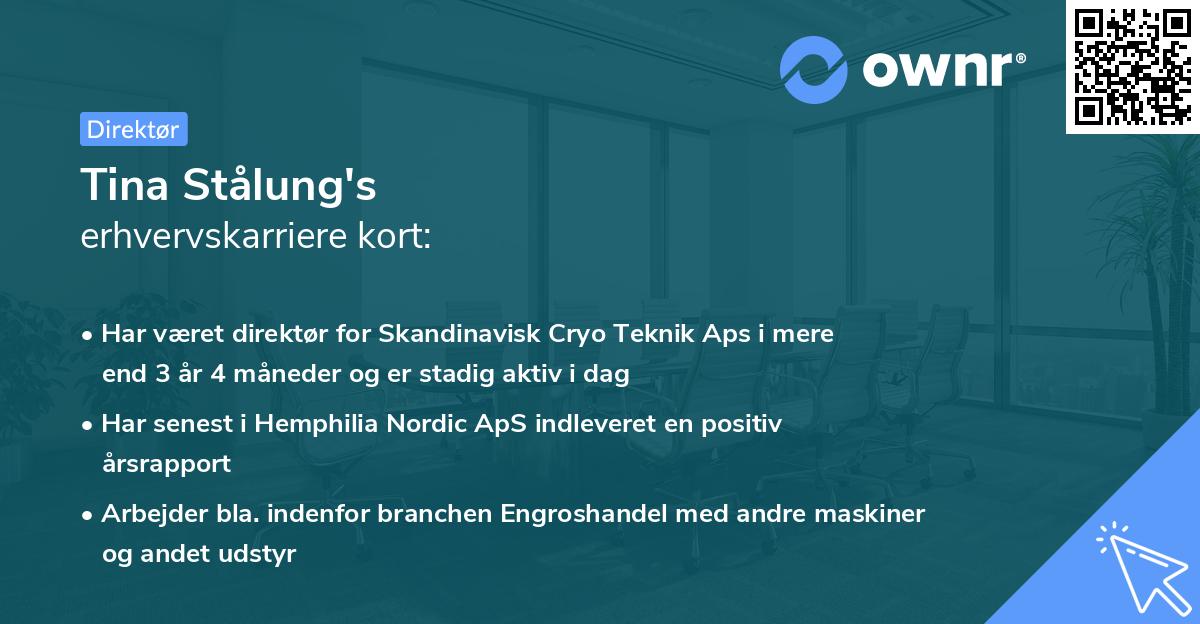 Tina Stålung's erhvervskarriere kort