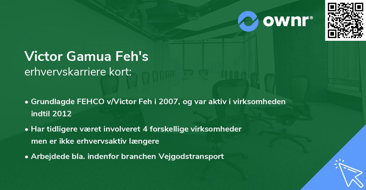 Victor Gamua Feh's erhvervskarriere kort