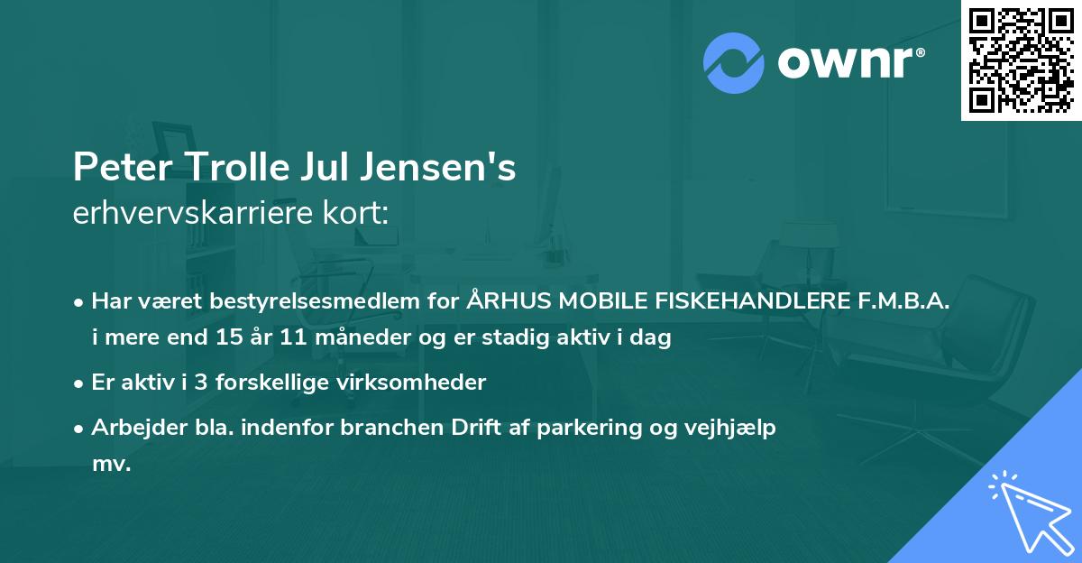 Peter Trolle Jul Jensen's erhvervskarriere kort