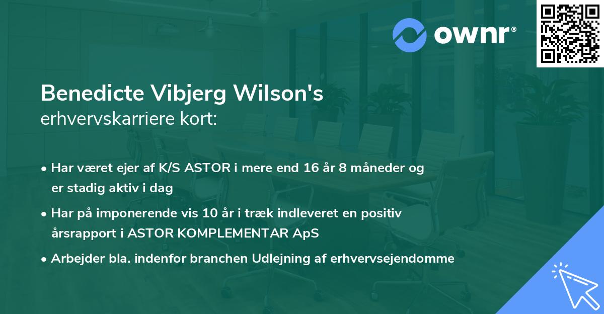 Benedicte Vibjerg Wilson's erhvervskarriere kort