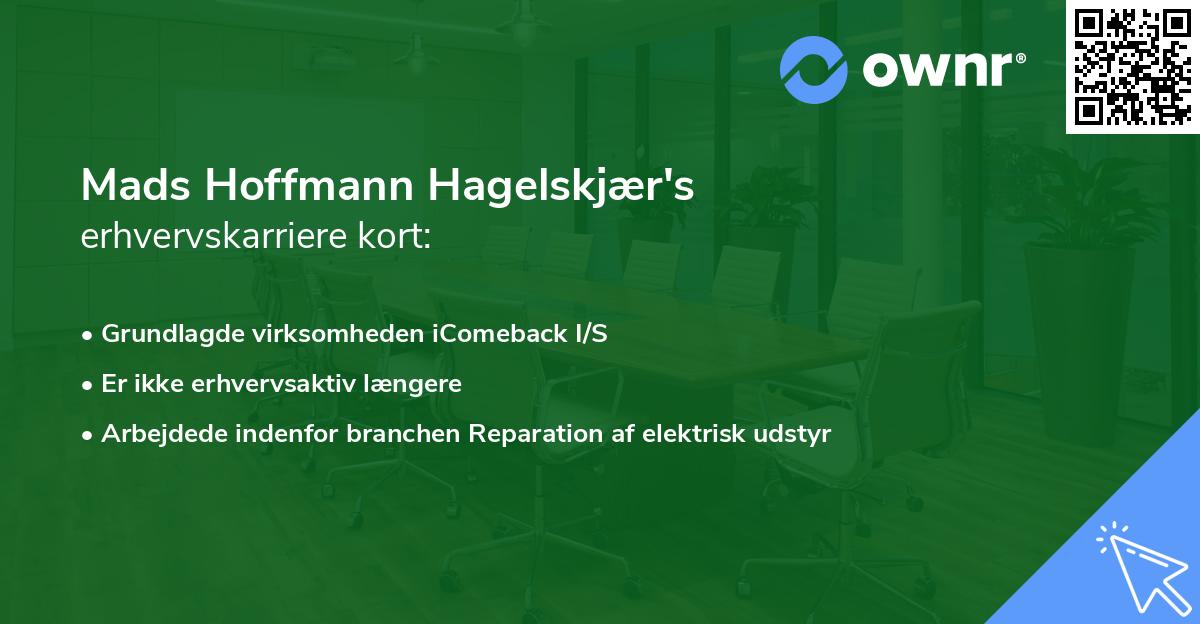 Mads Hoffmann Hagelskjær's erhvervskarriere kort
