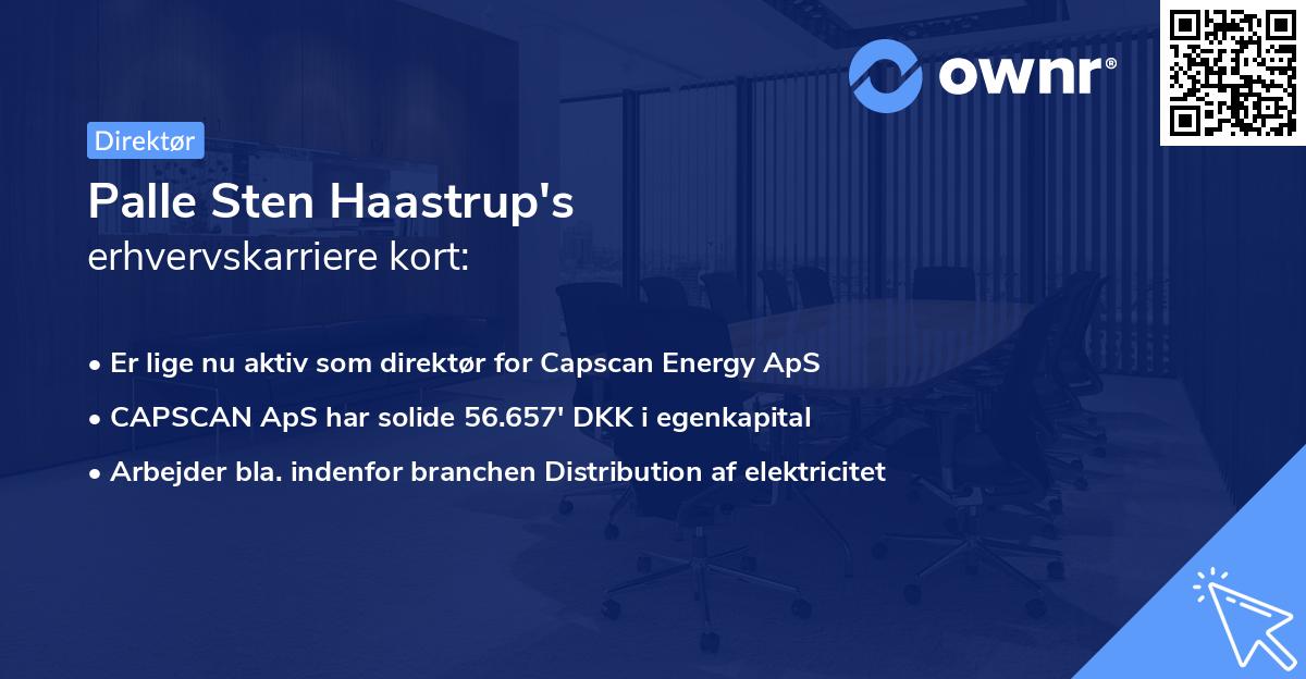 Palle Sten Haastrup's erhvervskarriere kort