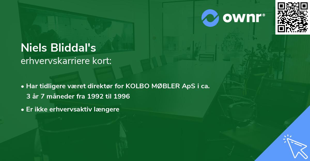 Niels Bliddal's erhvervskarriere kort