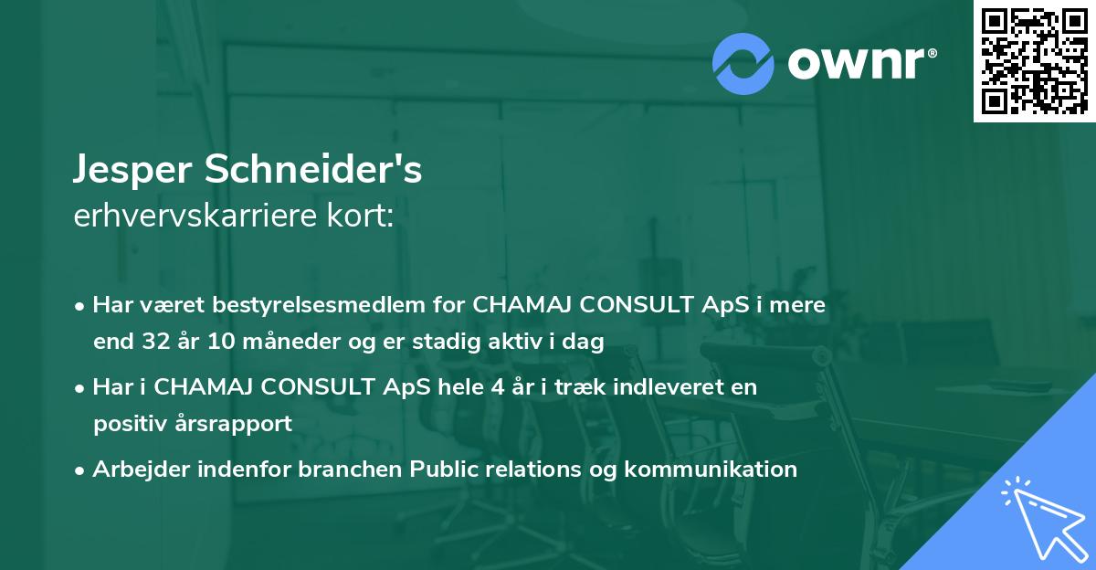 Jesper Schneider's erhvervskarriere kort