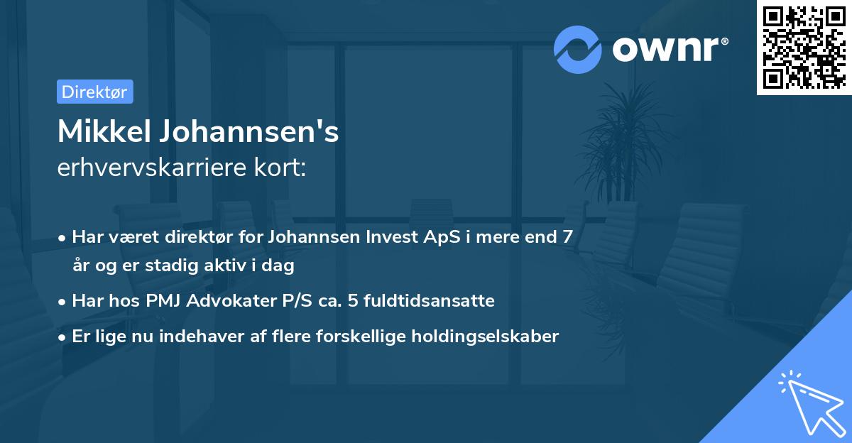 Mikkel Johannsen's erhvervskarriere kort