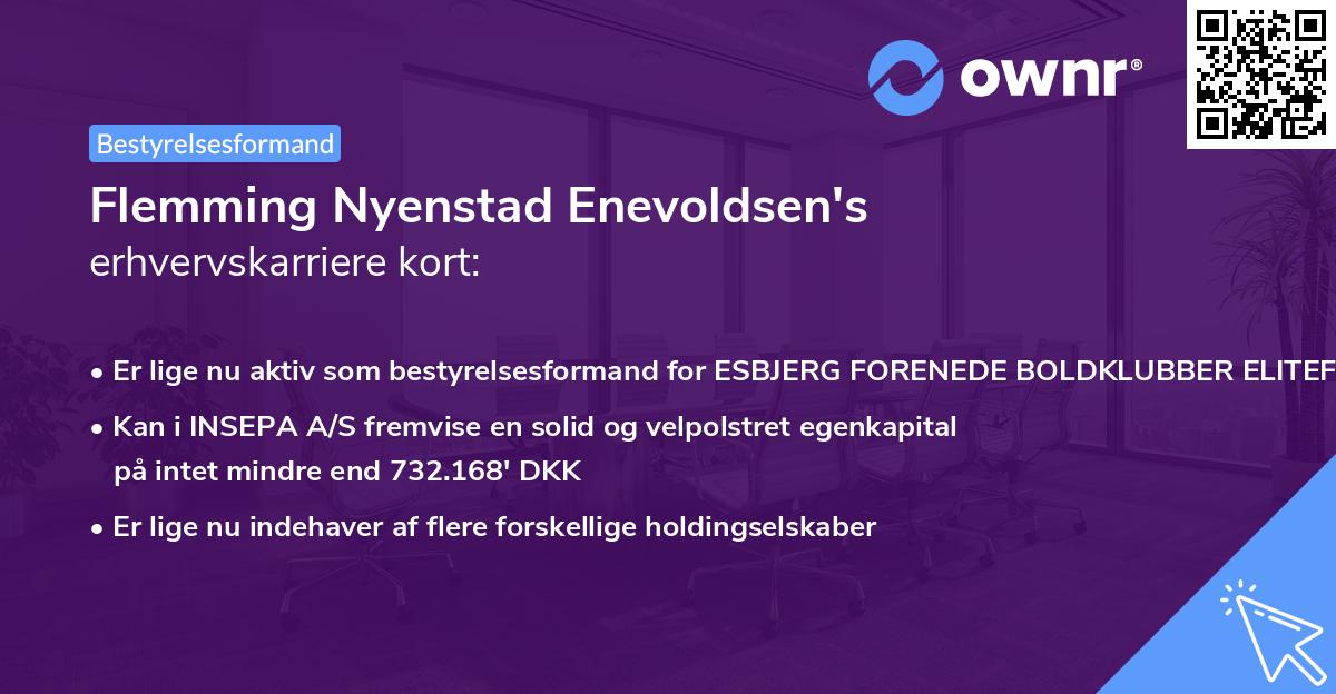 Flemming Nyenstad Enevoldsen's erhvervskarriere kort