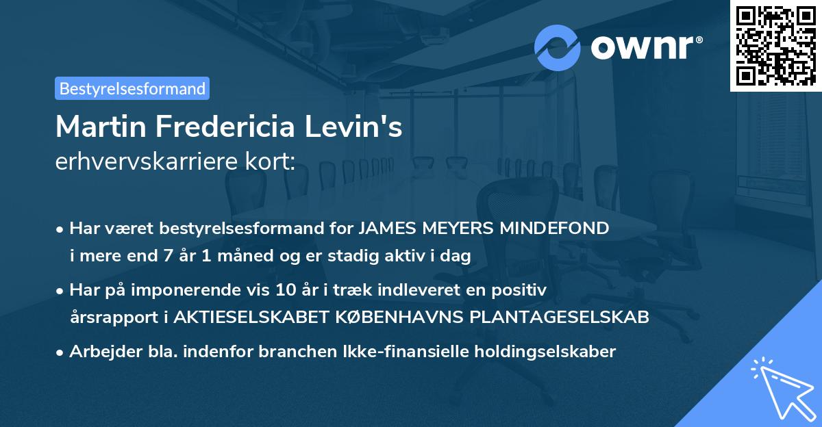 Martin Fredericia Levin's erhvervskarriere kort