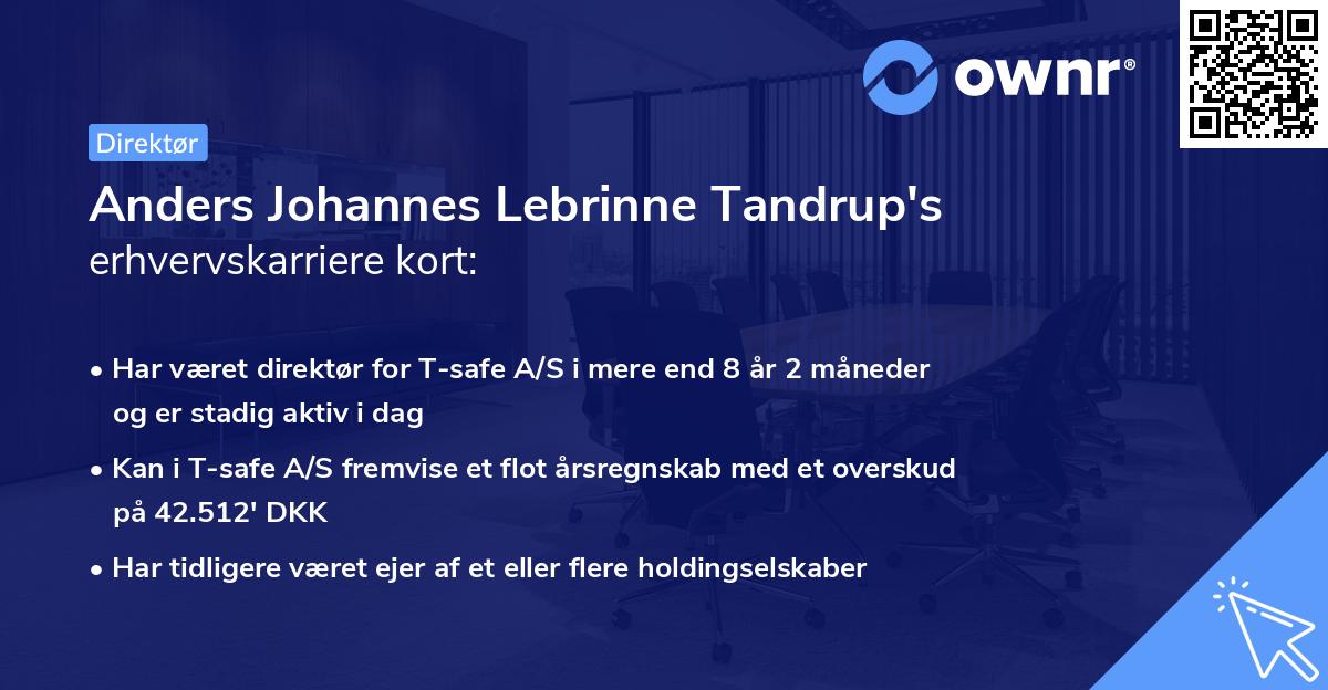 Anders Johannes Lebrinne Tandrup's erhvervskarriere kort