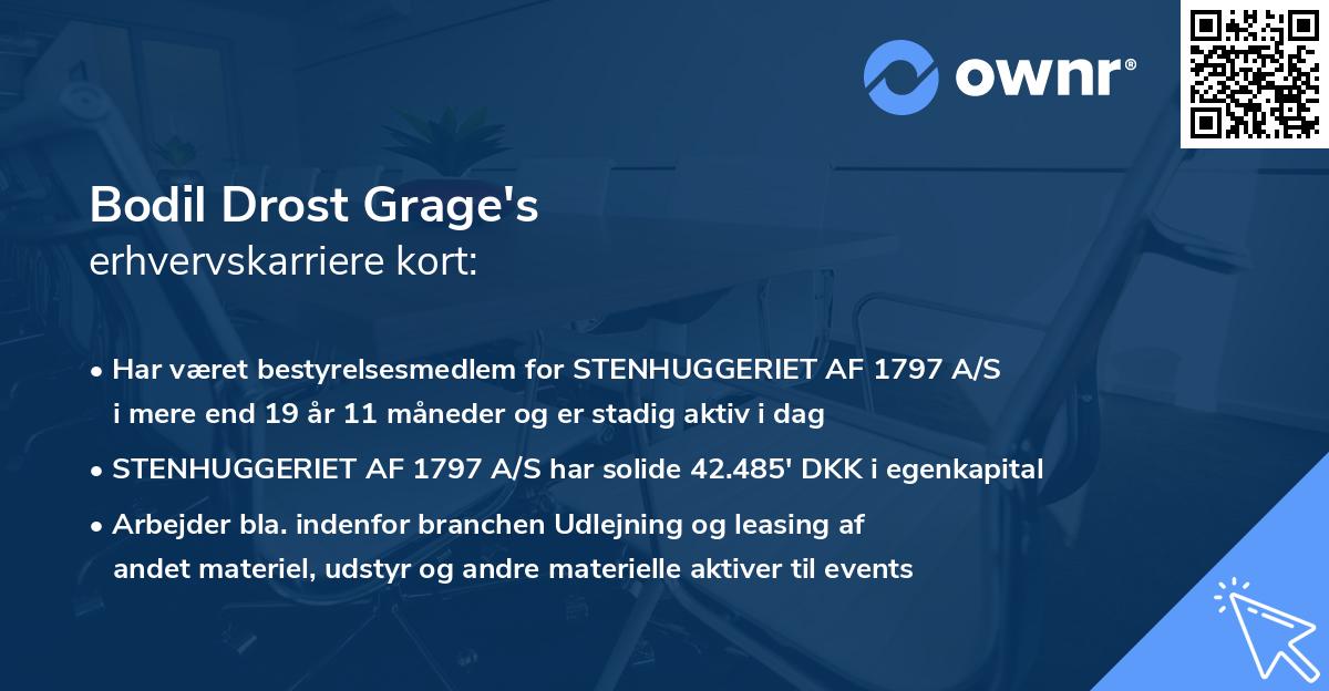 Bodil Drost Grage's erhvervskarriere kort