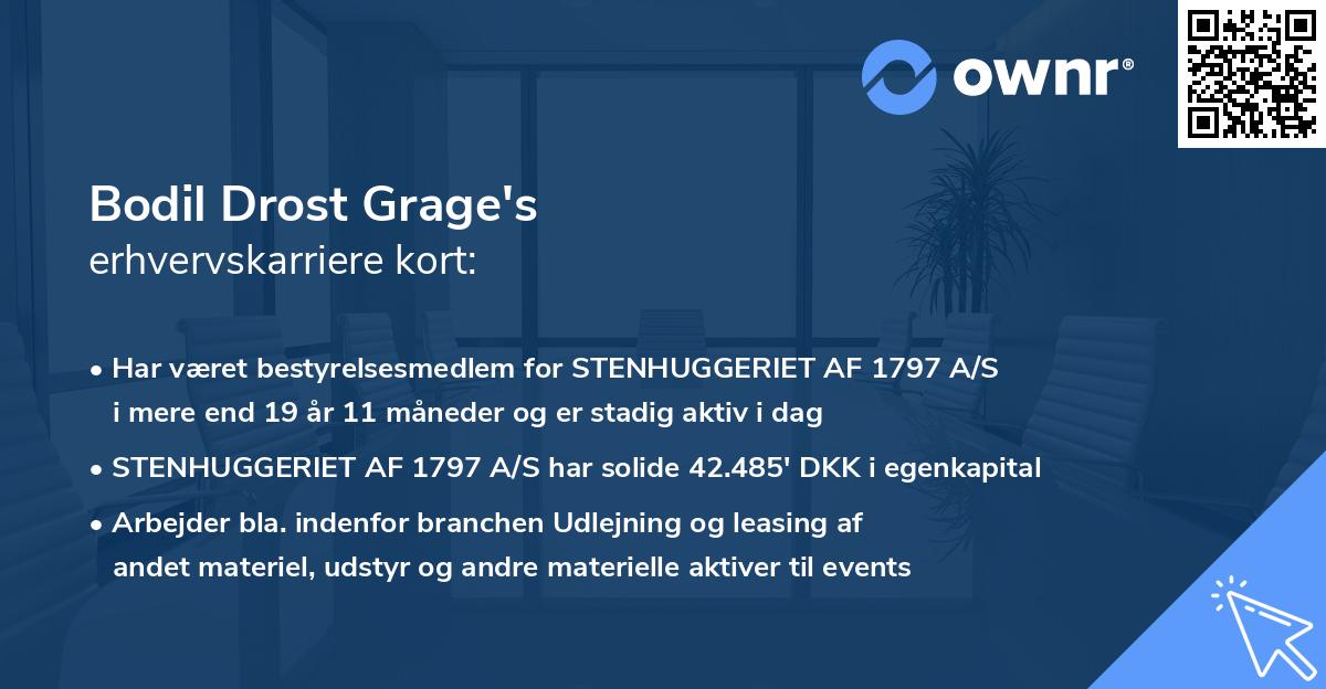 Bodil Drost Grage's erhvervskarriere kort