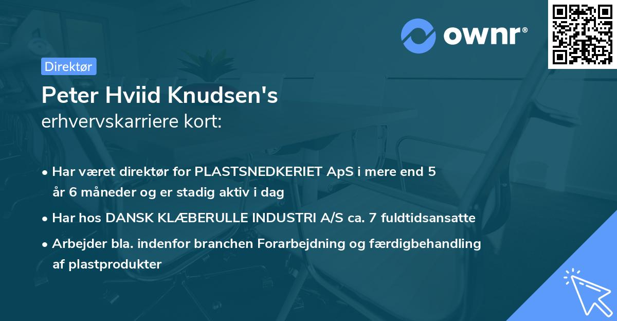Peter Hviid Knudsen's erhvervskarriere kort