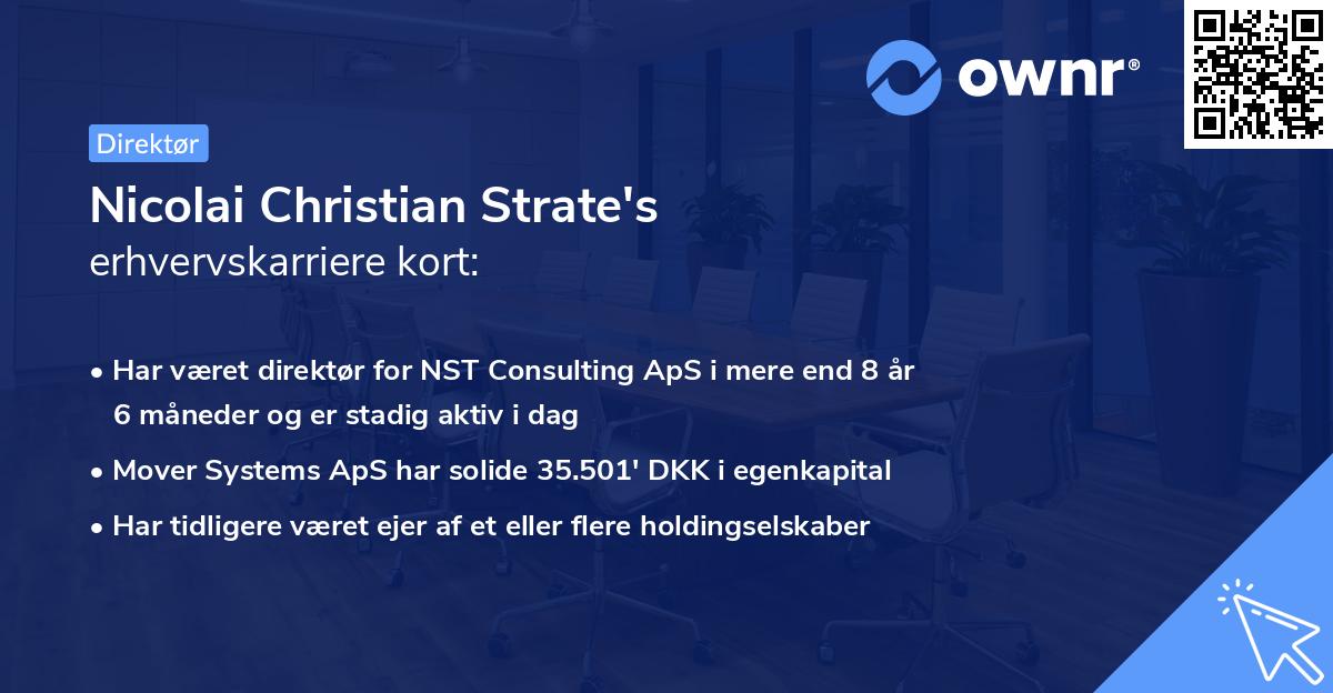 Nicolai Christian Strate's erhvervskarriere kort