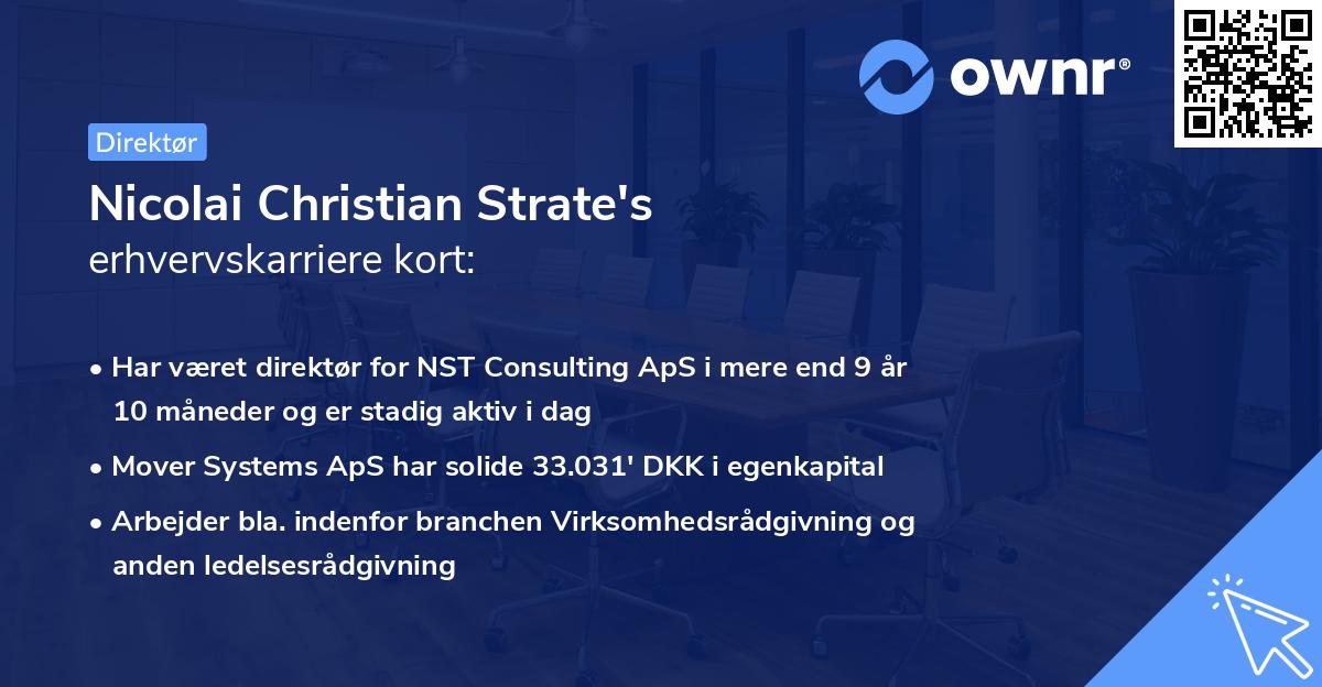 Nicolai Christian Strate's erhvervskarriere kort