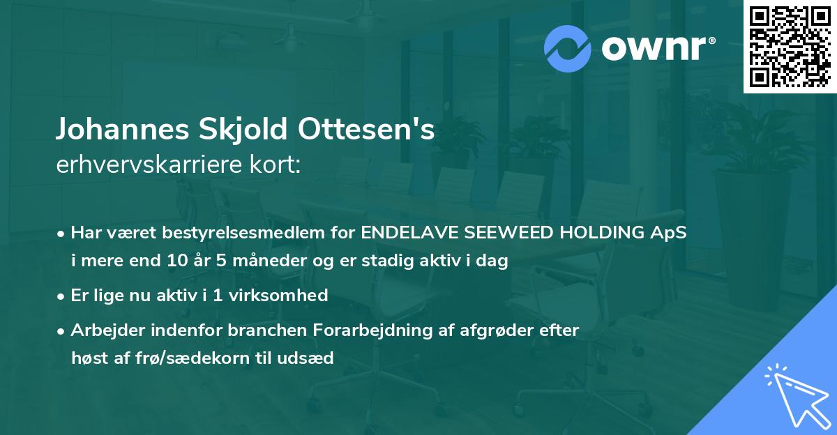 Johannes Skjold Ottesen's erhvervskarriere kort