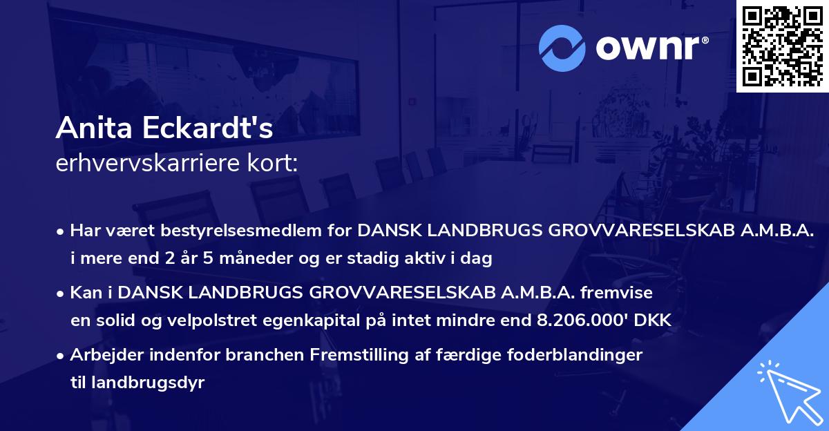 Anita Eckardt's erhvervskarriere kort