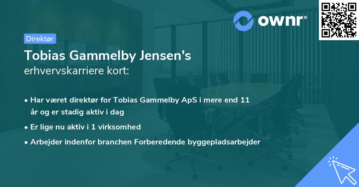 Tobias Gammelby Jensen's erhvervskarriere kort