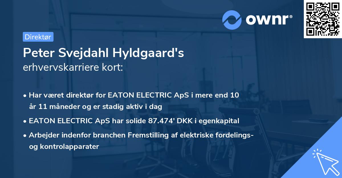 Peter Svejdahl Hyldgaard's erhvervskarriere kort