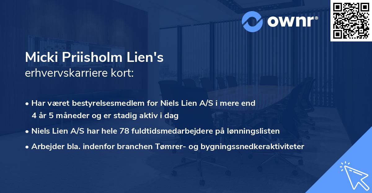 Micki Priisholm Lien's erhvervskarriere kort