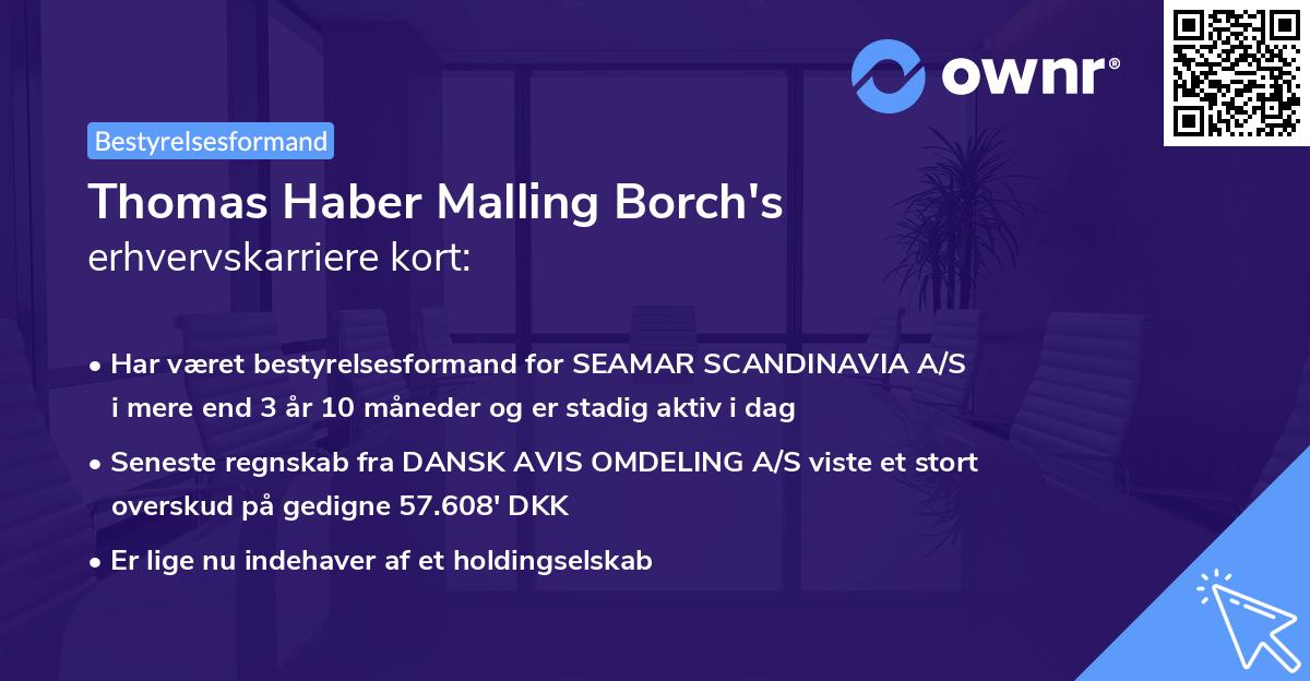 Thomas Haber Malling Borch's erhvervskarriere kort