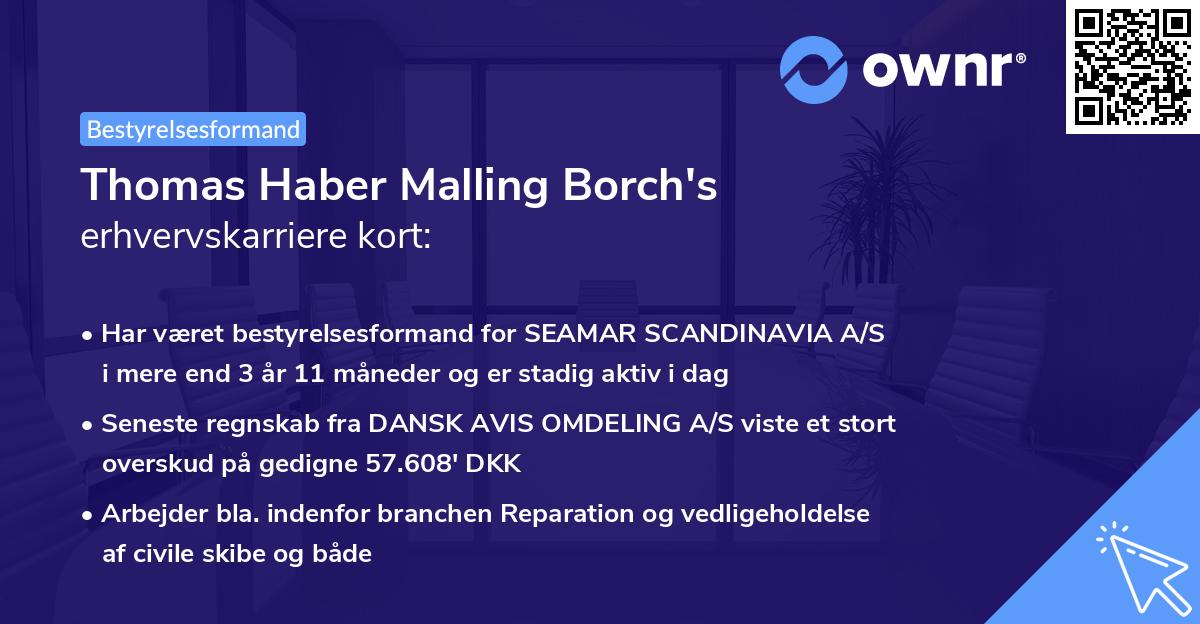 Thomas Haber Malling Borch's erhvervskarriere kort