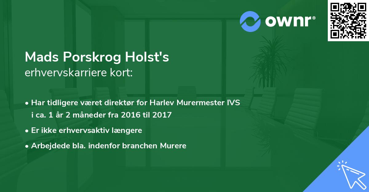 Mads Porskrog Holst's erhvervskarriere kort