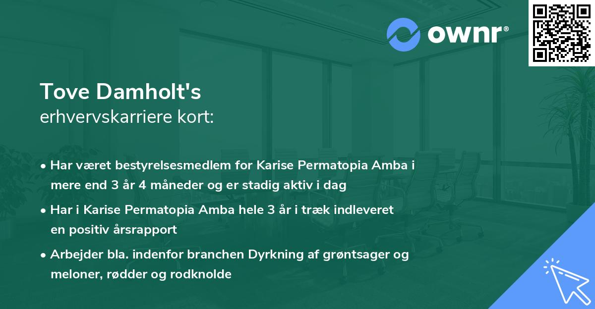 Tove Damholt's erhvervskarriere kort