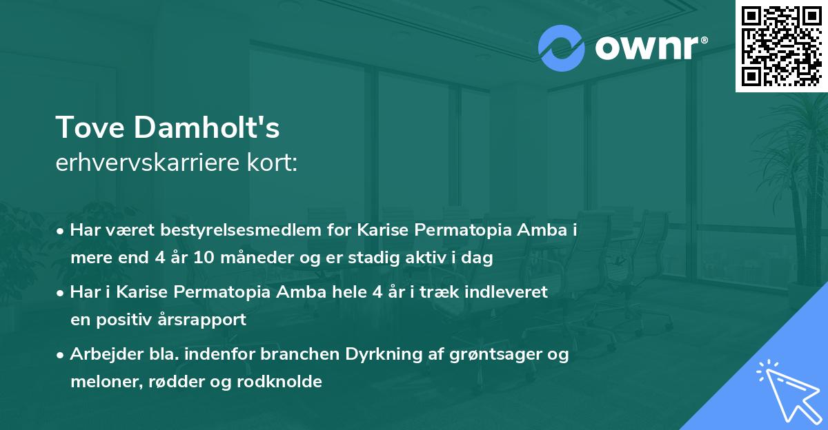 Tove Damholt's erhvervskarriere kort