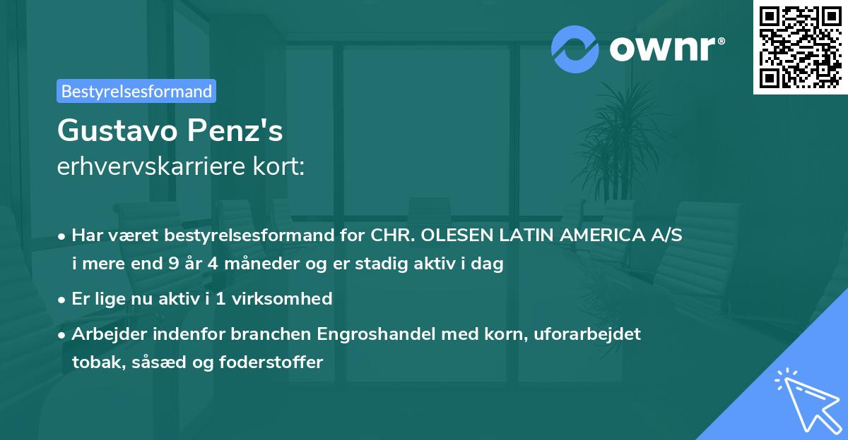Gustavo Penz's erhvervskarriere kort