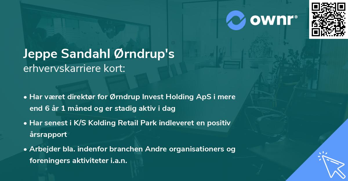 Jeppe Sandahl Ørndrup's erhvervskarriere kort