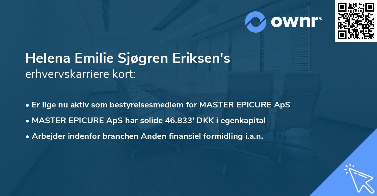 Helena Emilie Sjøgren Eriksen's erhvervskarriere kort