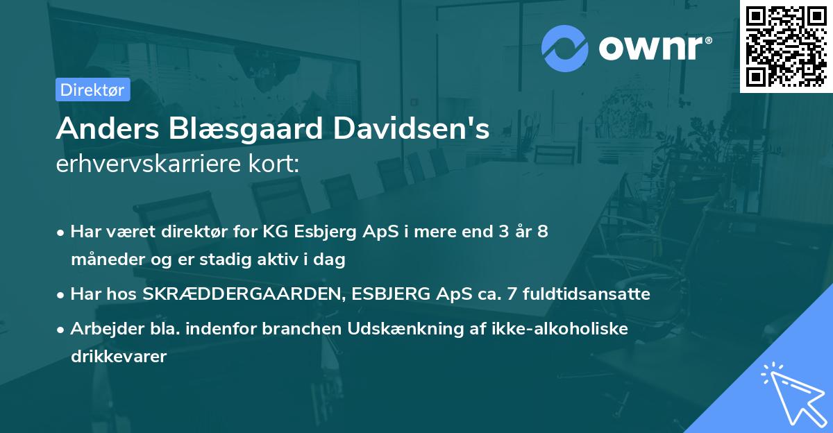 Anders Blæsgaard Davidsen's erhvervskarriere kort