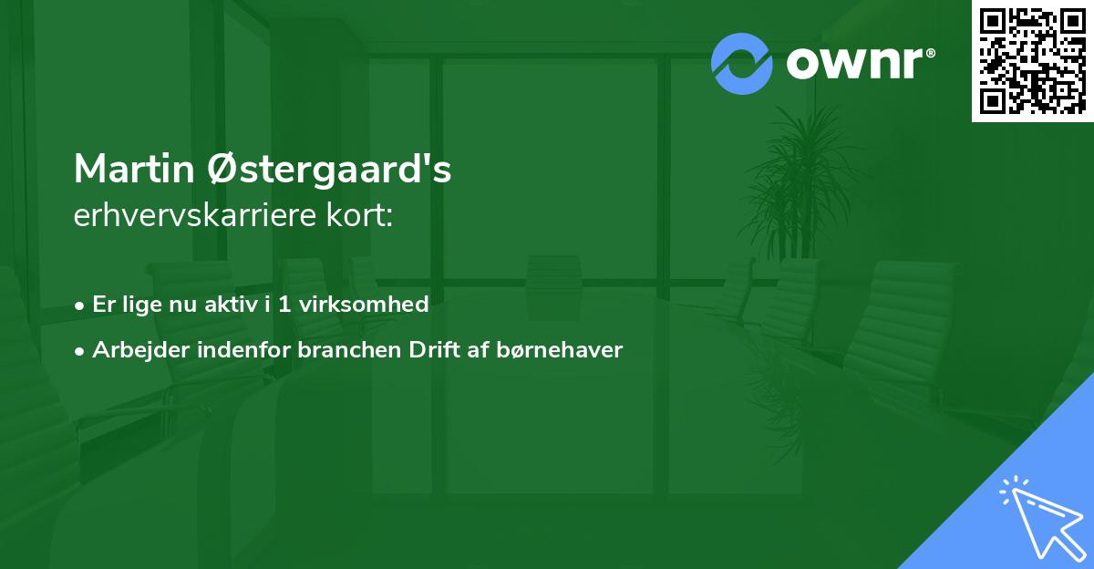 Martin Østergaard's erhvervskarriere kort