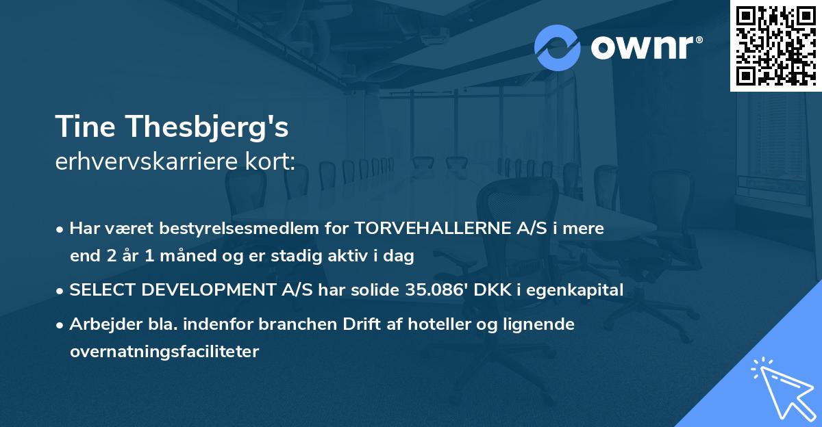 Tine Thesbjerg's erhvervskarriere kort