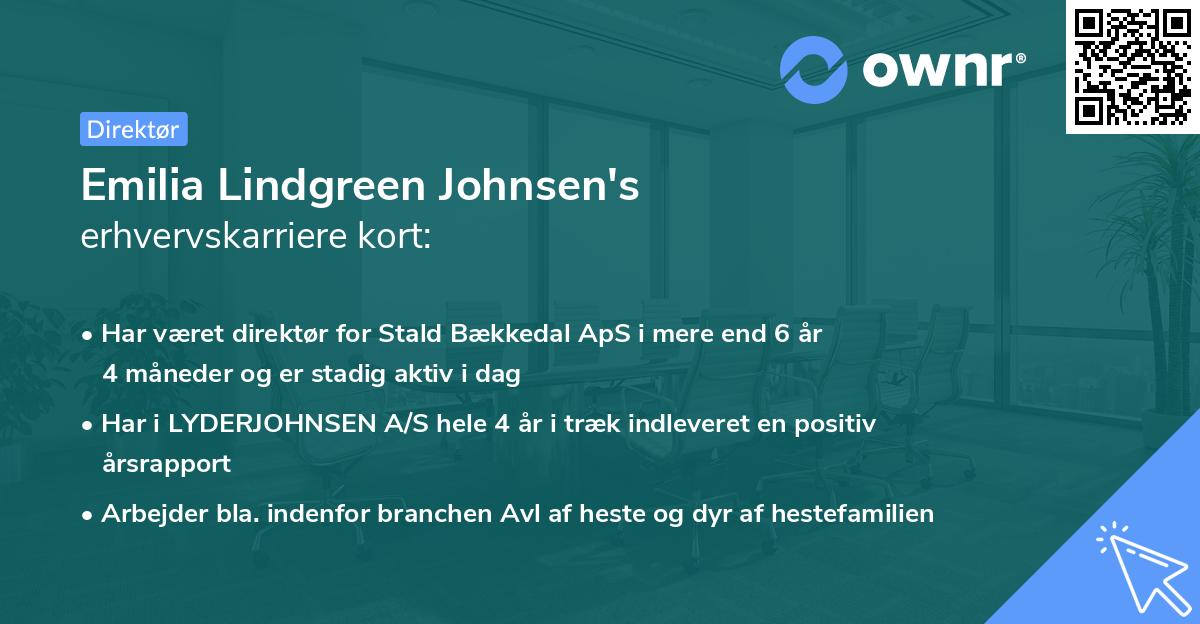 Emilia Lindgreen Johnsen's erhvervskarriere kort