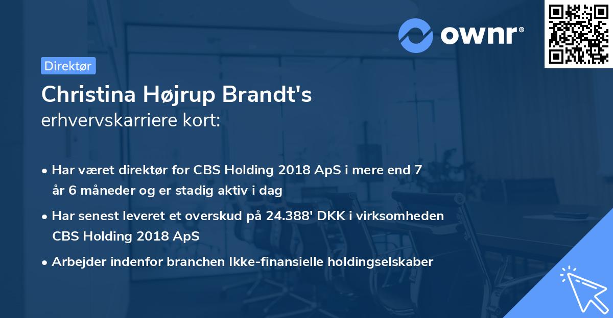 Christina Højrup Brandt's erhvervskarriere kort