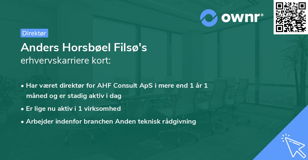 Anders Horsbøel Filsø's erhvervskarriere kort