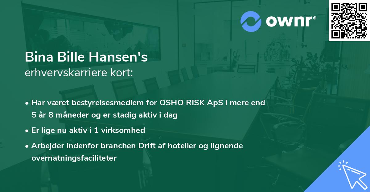 Bina Bille Hansen's erhvervskarriere kort