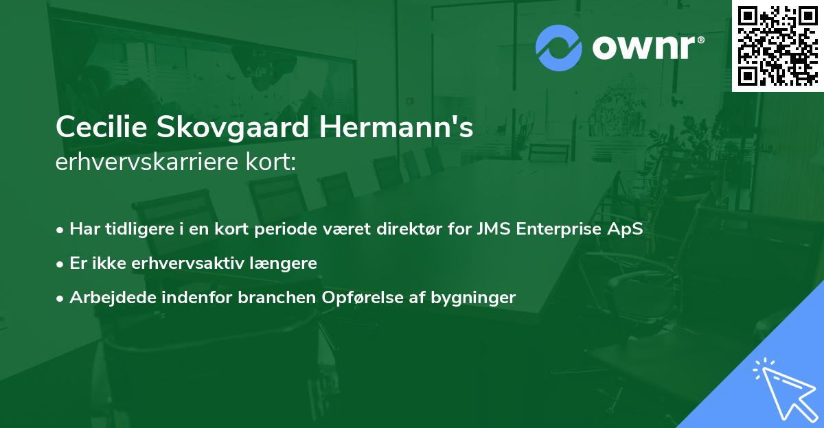 Cecilie Skovgaard Hermann's erhvervskarriere kort