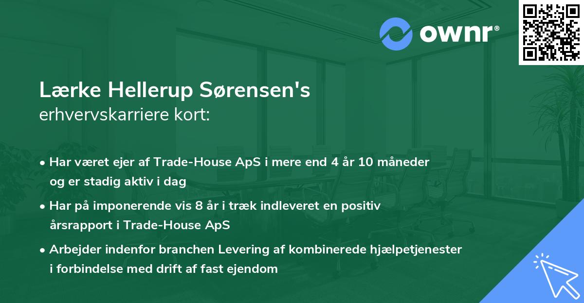 Lærke Hellerup Sørensen's erhvervskarriere kort