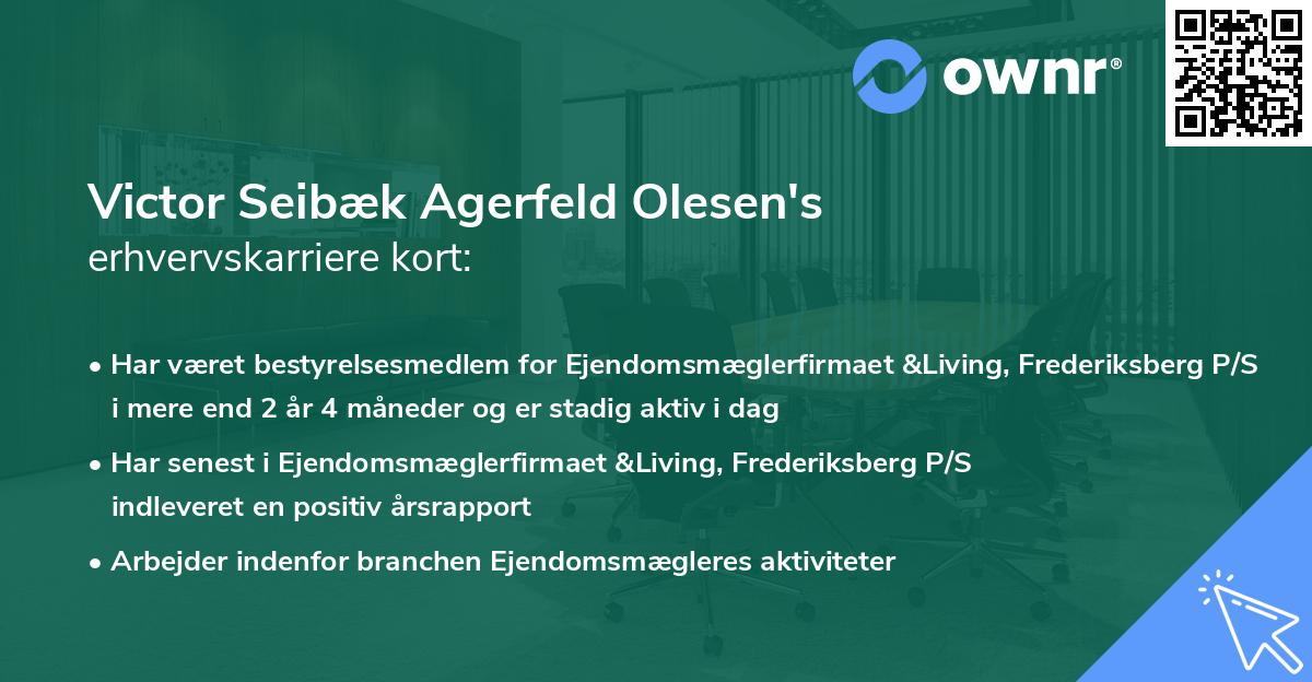 Victor Seibæk Agerfeld Olesen's erhvervskarriere kort
